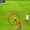 Video, Laga PSIS vs PSPS Berakhir Rusuh